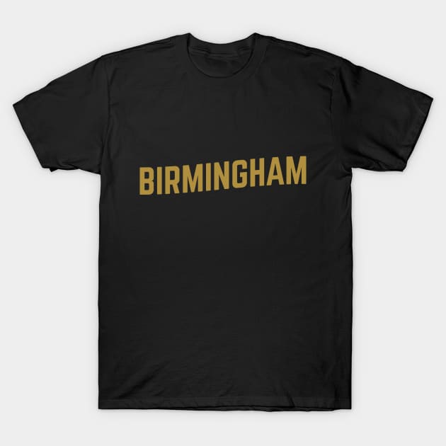 Birmingham City Typography T-Shirt by calebfaires